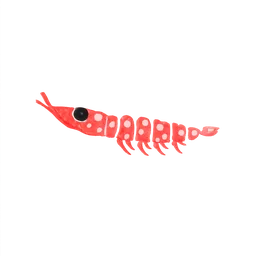 점박이 크릴 그림